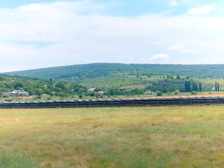 Vând terenuri agricole foto 9