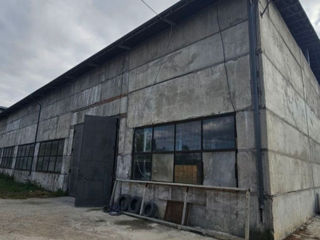 Depozit pentru producere (Chișinău, str. Industrială, 40 ari, 2000m2) foto 3