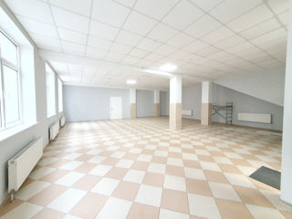 Oficii în chirie! Centru! 17 - 100m2! 10 euro/m2 + comunale! foto 9