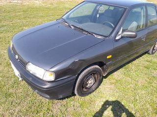 Nissan Primera foto 8