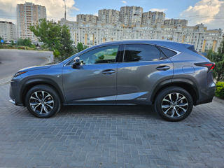 Lexus NX Series foto 5