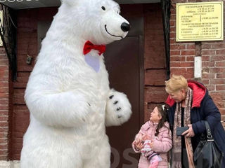 Музыкальное поздравление от Белого Медведя и от Кролика. Felicitare de la Ursul Alb și Iepuraș. foto 2