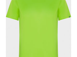 Tricou bărbați IMOLA - verde deschis / Мужская спортивная футболка IMOLA - ярко- салатовая