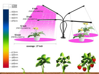 Светодиодные светильники для выращивания комнатных растений foto 4