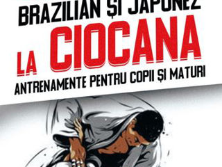 Jiu-Jitsu. Antrenamente. Sector Ciocana. foto 4