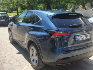 Lexus NX Series foto 7