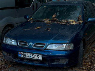 Nissan Primera