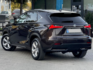 Lexus NX Series foto 5