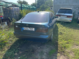 Nissan Primera foto 4