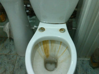 Viceu cu vas / напольный унитаз с бочком foto 1