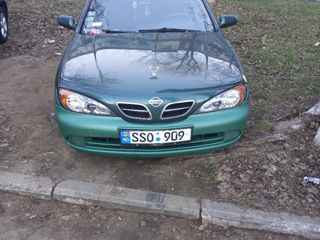 Nissan Primera foto 3