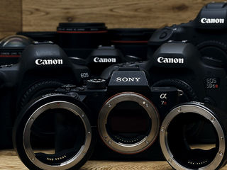 Куплю Canon Full Frame срочной продажи за адекватные деньги foto 1