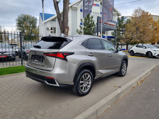 Lexus NX Series foto 5