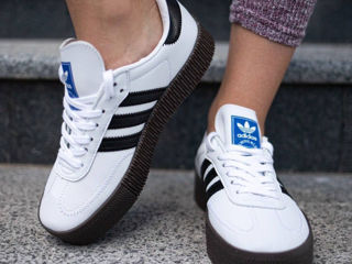 Adidas Samba Poze reale