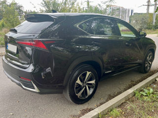 Lexus NX Series foto 5