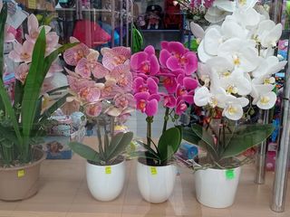 Искусственная  орхидея для домашнего и офисного декора foto 2