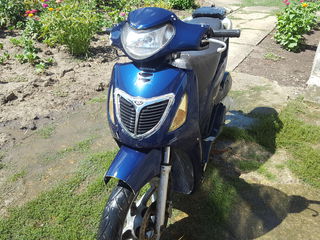 Honda Sh 150 foto 2