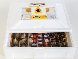 Инкубатор теплуша 100 яиц иб 12/50 трв бесплатная доставка! foto 1