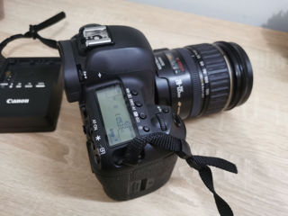 Canon EOS 5D MK-IV (Canon 70-200mm/ Canon EF 15mm/ Canon 28-135mm) foto 4