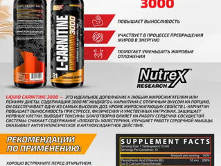 Creatine California Gold 454gr и L-Carnitine liquid foto 4