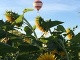 Полёт на воздушном шаре над Молдовой!Zbor cu Balonul cu aer cald! foto 9
