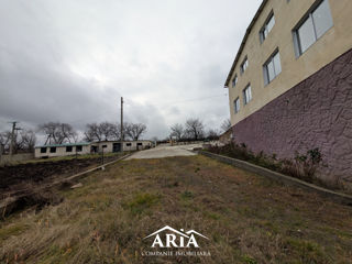 Vând depozit 1000m2 cu teren 80 ari, Grătiești, prima linie, rampă, apă, 380W foto 5