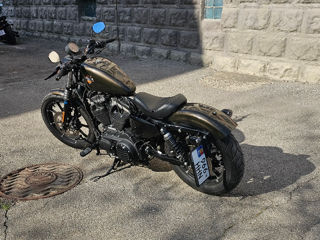 Harley - Davidson Sportster IRON 883 foto 5