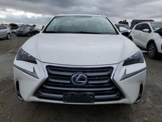 Lexus NX Series