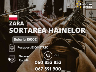 consultareue