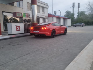 Ford Mustang foto 6