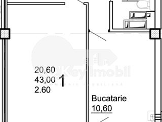 Apartament cu 1 cameră, 45 m², Centru, Cojușna, Strășeni foto 3