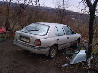 Nissan Sunny foto 4