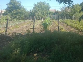 Casa de locuit la doar 20 km de mun. Chișinău, în s. Mereni, r. Anenii Noi foto 6