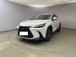 Lexus NX Series