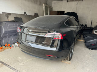 Tesla Model 3 Long Range 2019 foto 1