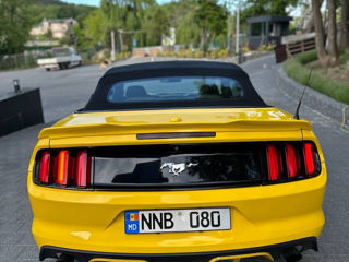 Ford Mustang foto 12
