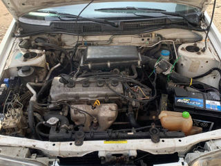 Nissan Primera foto 9