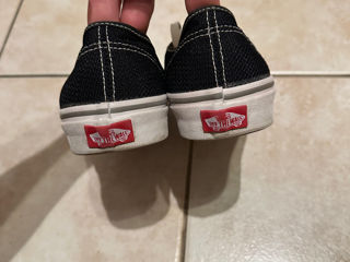 Vans       Nata foto 7