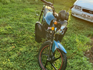 Alpha Moto Andes foto 3