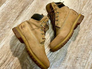 Timberland foto 2