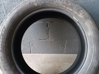 254/50 R19 foto 1