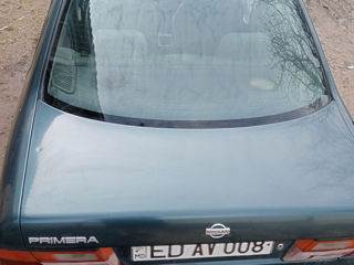 Nissan Primera foto 4