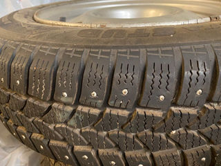 Шины 175/65 R14 Tigar Sigura Stud 82T foto 3