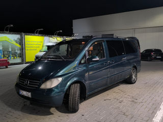 Mercedes Viano foto 3