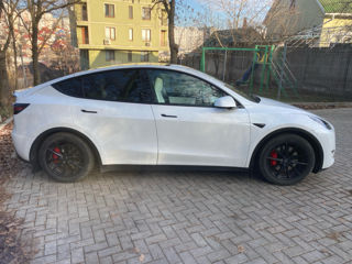 Tesla Model Y foto 7