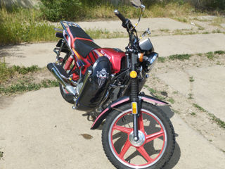 Wolf Motors 150CC foto 6