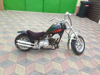 Alpha Moto Min harlik foto 2