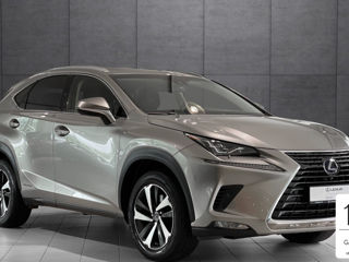 Lexus NX Series