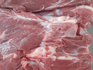 Livrăm carne de vitel de la piața centrală foto 4