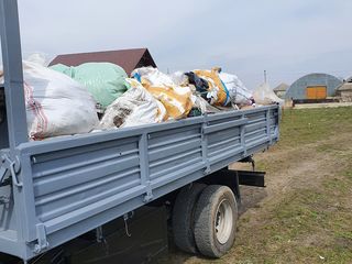 Evacuaria gunoiului foto 7